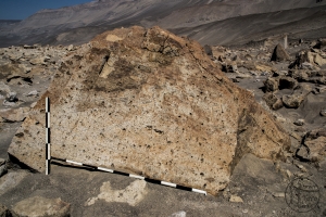Piedra: 1245, Cara decorada: I