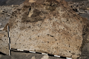 Piedra: 1245, Cara decorada: I