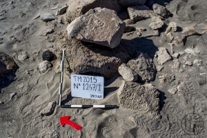 Piedra: 1247, Cara decorada: I