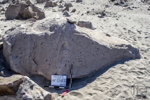 Piedra: 1248, Cara decorada: II