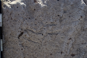 Piedra: 1248, Cara decorada: II