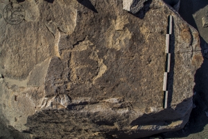 Piedra: 1250, Cara decorada: I