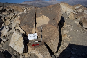 Piedra: 1256, Cara decorada: I