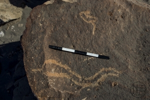 Piedra: 1256, Cara decorada: I