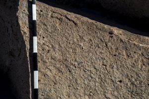 Piedra: 1258, Cara decorada: I