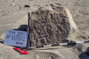 Piedra: 1259, Cara decorada: I