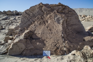 Piedra: 1260, Cara decorada: I