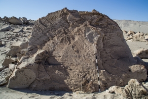 Piedra: 1260, Cara decorada: I