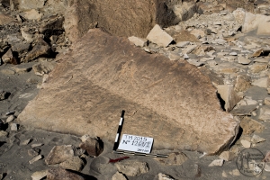 Piedra: 1261, Cara decorada: I