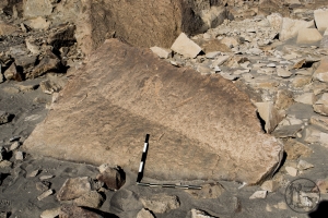 Piedra: 1261, Cara decorada: I