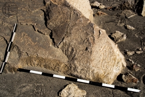 Piedra: 1263, Cara decorada: II