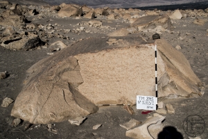 Piedra: 1263, Cara decorada: I