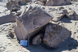 Piedra: 1264, Cara decorada: I