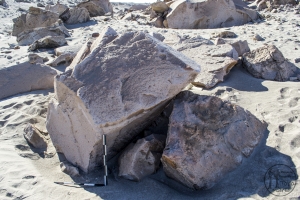 Piedra: 1264, Cara decorada: I