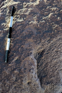 Piedra: 1264, Cara decorada: I