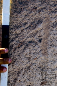 Piedra: 1264, Cara decorada: I