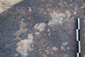 Piedra: 1265, Cara decorada: I