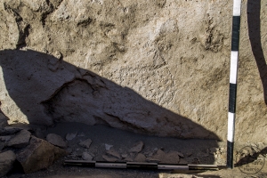 Piedra: 1267, Cara decorada: I