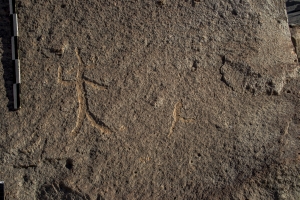 Piedra: 1269, Cara decorada: II