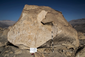 Piedra: 1269, Cara decorada: I