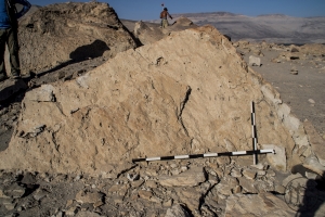 Piedra: 1270, Cara decorada: I