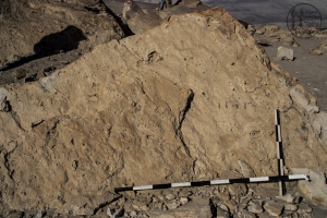 Piedra: 1270, Cara decorada: I