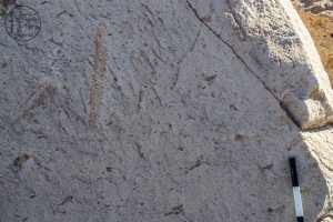 Piedra: 1272, Cara decorada: I