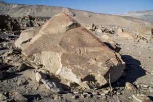 Piedra: 1273, Cara decorada: I