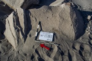 Piedra: 1279, Cara decorada: I