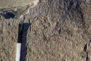 Piedra: 1279, Cara decorada: I