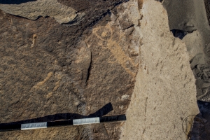 Piedra: 1280, Cara decorada: I