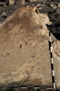 Piedra: 1282, Cara decorada: I