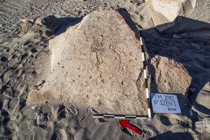 Piedra: 1284, Cara decorada: I