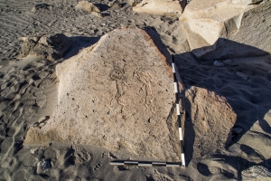 Piedra: 1284, Cara decorada: I