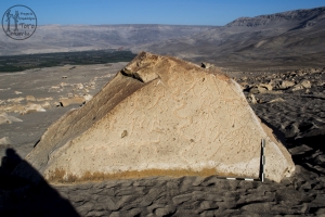 Piedra: 1286, Cara decorada: I