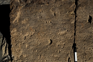 Piedra: 1287, Cara decorada: II