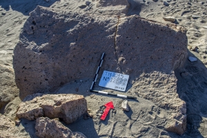 Piedra: 1287, Cara decorada: I