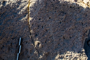 Piedra: 1287, Cara decorada: I
