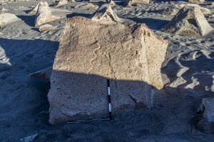 Piedra: 1288, Cara decorada: I