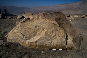 Piedra: 1291, Cara decorada: II