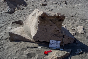 Piedra: 1292, Cara decorada: I