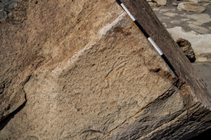 Piedra: 1295, Cara decorada: II