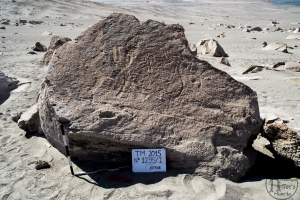 Piedra: 1295, Cara decorada: I