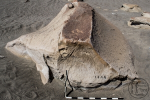 Piedra: 1297, Cara decorada: III