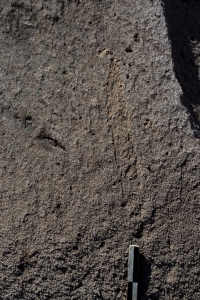 Piedra: 1297, Cara decorada: I