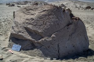 Piedra: 1298, Cara decorada: I