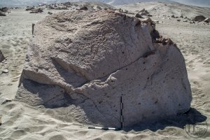 Piedra: 1298, Cara decorada: I