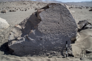 Piedra: 1299, Cara decorada: I