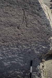 Piedra: 1299, Cara decorada: I