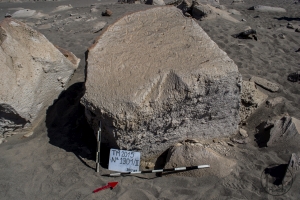 Piedra: 1301, Cara decorada: II